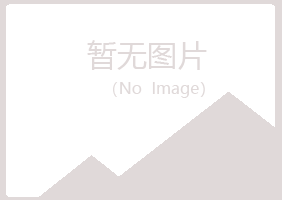 偃师夏日制造有限公司